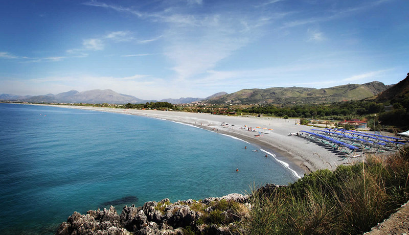 mare
